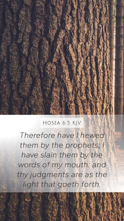 Hosea 6:5 Explained