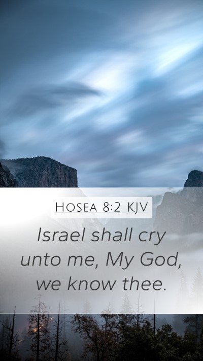 Hosea 8:2 Explained