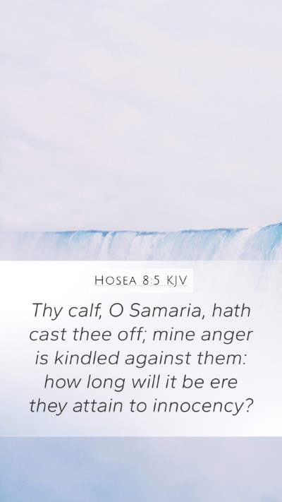 Hosea 8:5 Explained