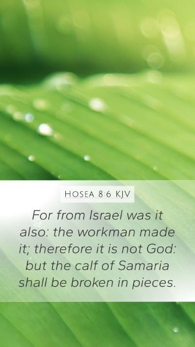 Hosea 8:6 Explained