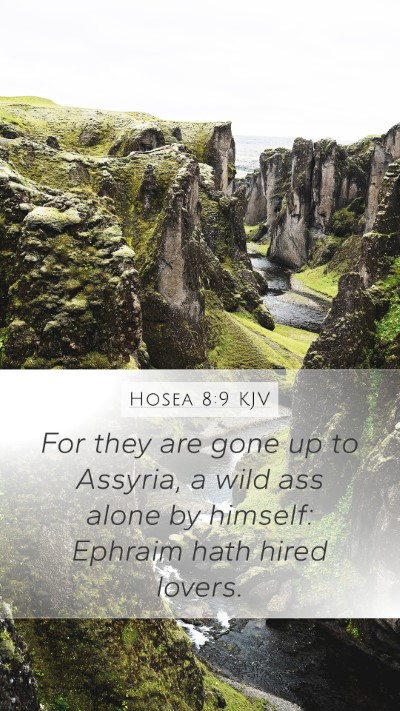 Hosea 8:9 Explained