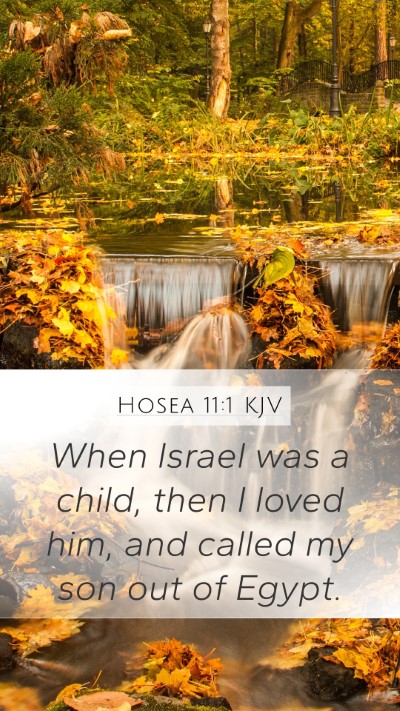 Hosea 11:1 Explained