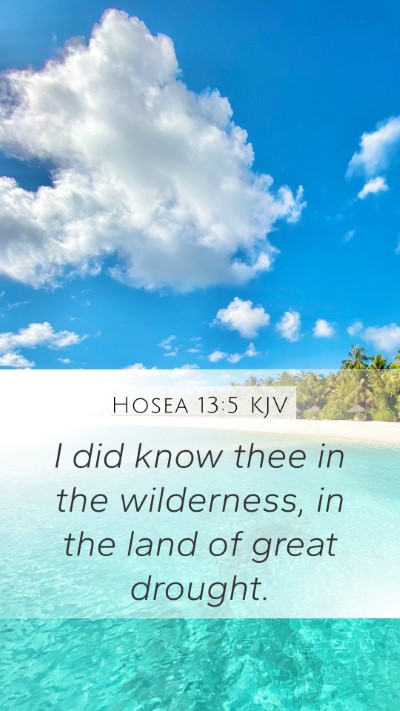 Hosea 13:5 Explained