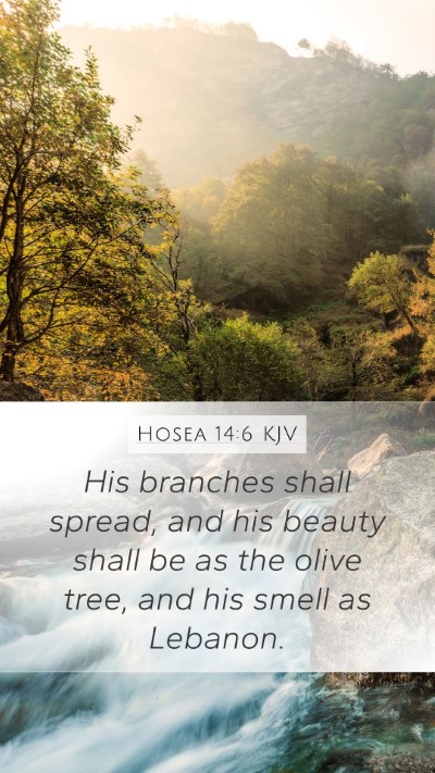 Hosea 14:6 Explained