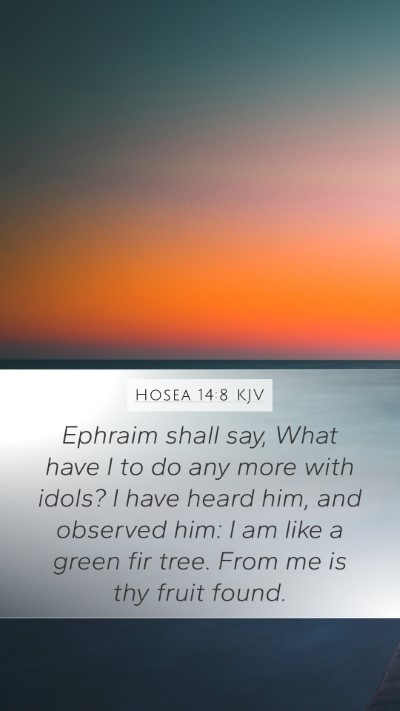 Hosea 14:8 Explained