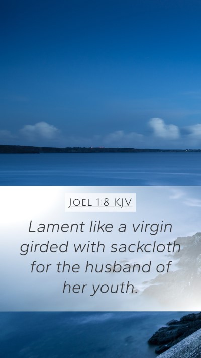 Joel 1:8 Explained