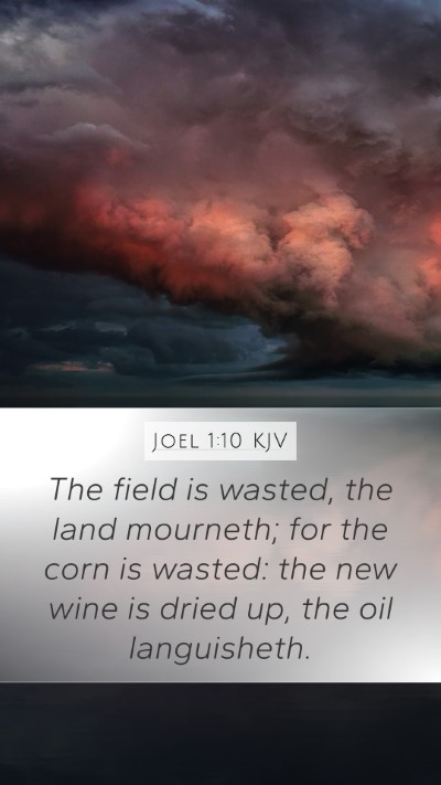 Joel 1:10 Explained