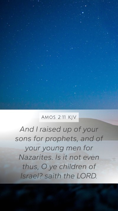 Amos 2:11 Explained