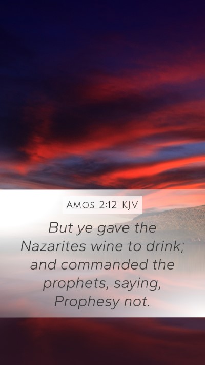 Amos 2:12 Explained