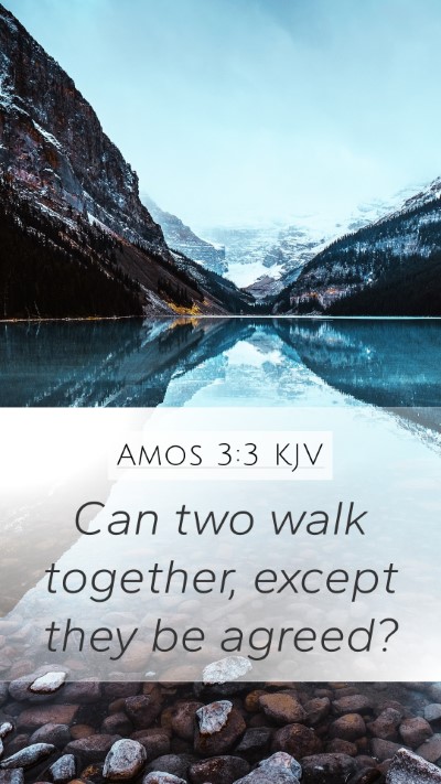 Amos 3:3 Explained