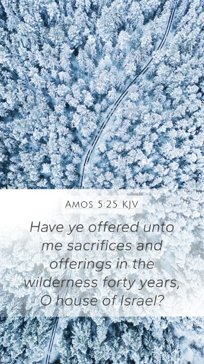 Amos 5:25 Explained