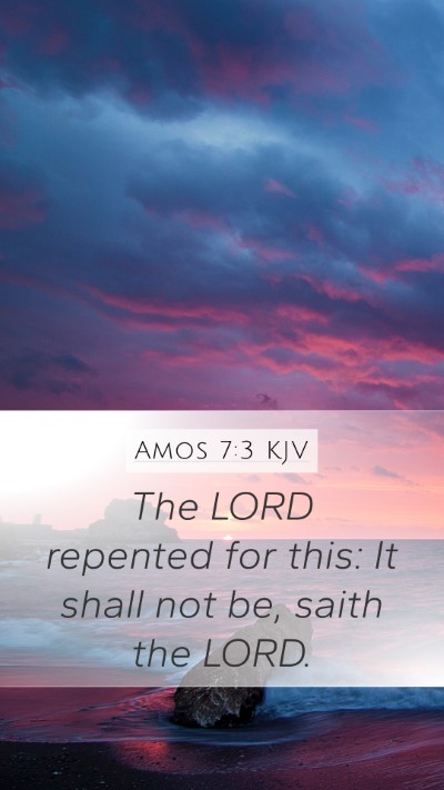 Amos 7:3 Explained