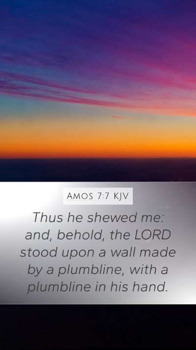 Amos 7:7 Explained