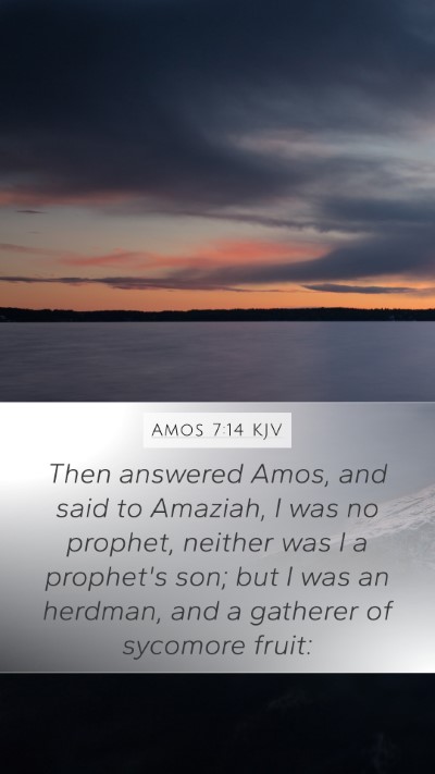 Amos 7:14 Explained