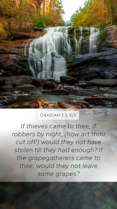 Obadiah 1:5 Explained