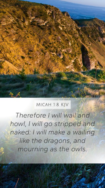 Micah 1:8 Explained