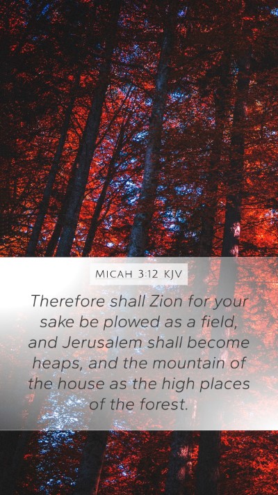 Micah 3:12 Explained