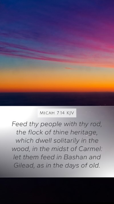 Micah 7:14 Explained