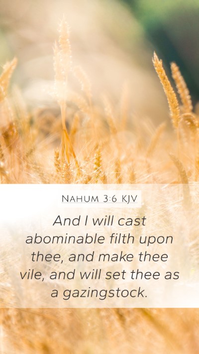 Nahum 3:6 Explained