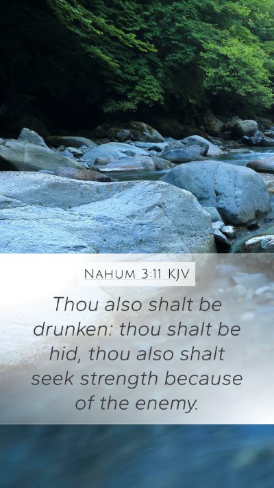 Nahum 3:11 Explained