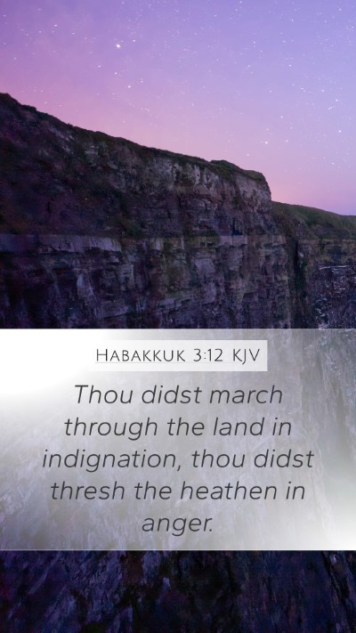 Habakkuk 3:12 Explained