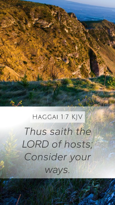 Haggai 1:7 Explained