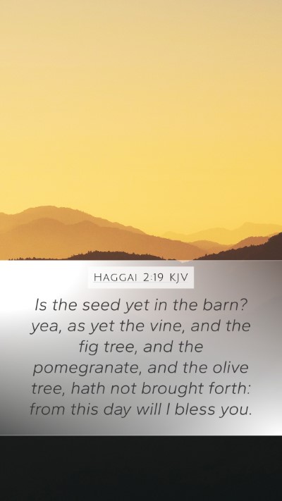 Haggai 2:19 Explained