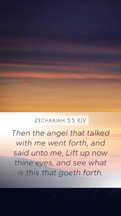 Zechariah 5:5 Explained