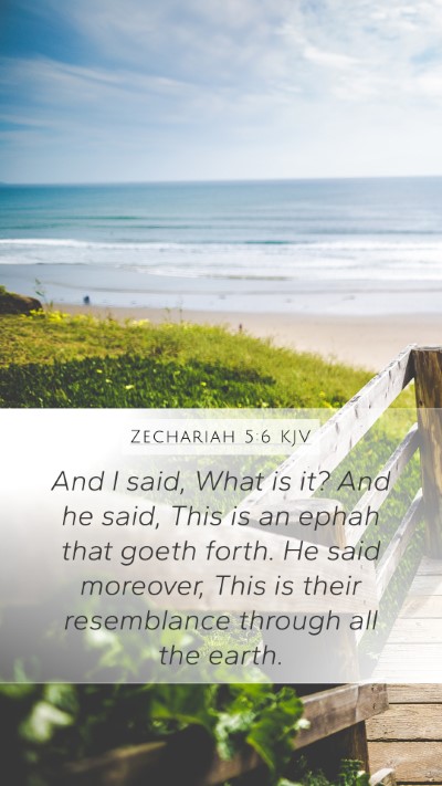 Zechariah 5:6 Explained