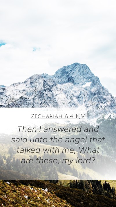 Zechariah 6:4 Explained