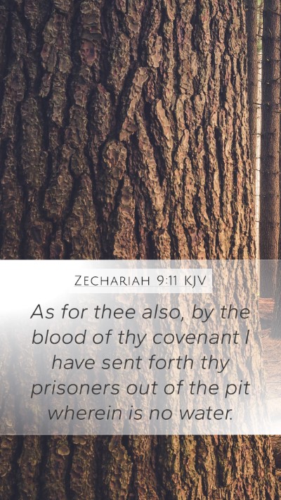 Zechariah 9:11 Explained