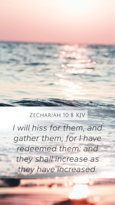 Zechariah 10:8 Explained