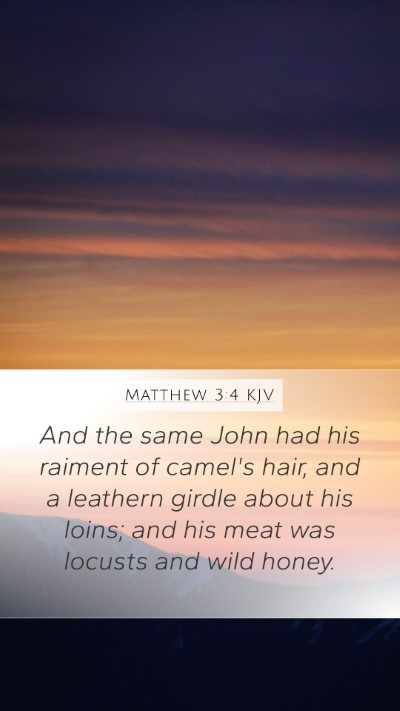 Matthew 3:4 Explained