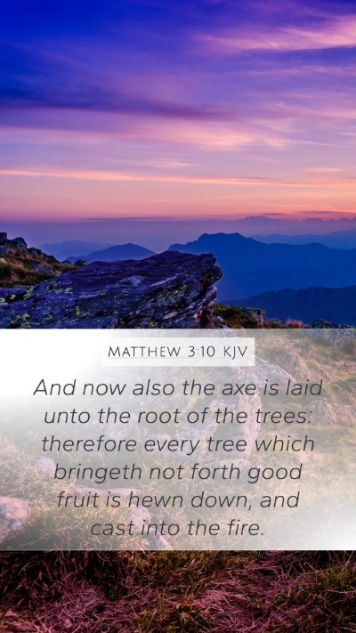 Matthew 3:10 Explained