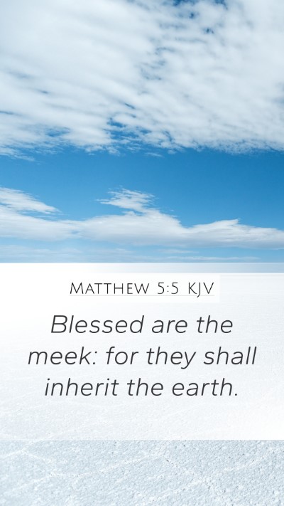 Matthew 5:5 Explained