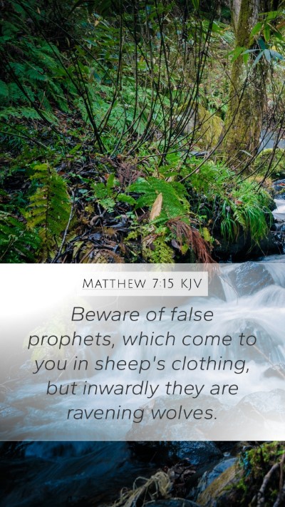 Matthew 7:15 Explained