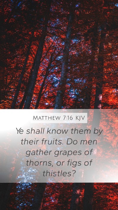 Matthew 7:16 Explained