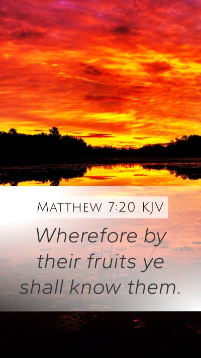 Matthew 7:20 Explained