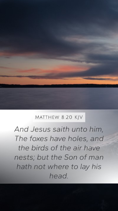 Matthew 8:20 Explained