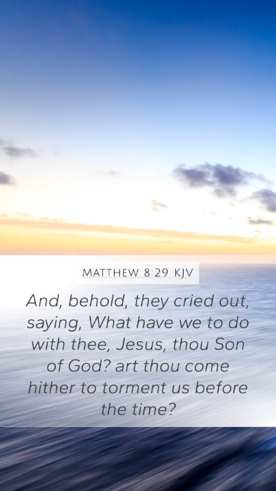 Matthew 8:29 Explained