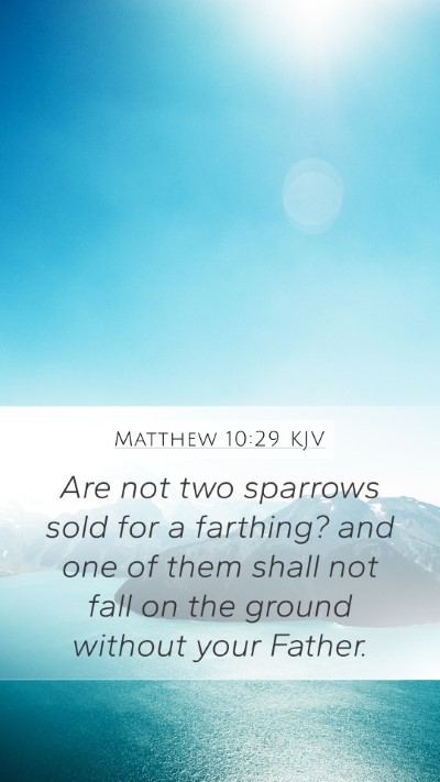 Matthew 10:29 Explained