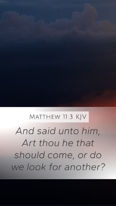 Matthew 11:3 Explained