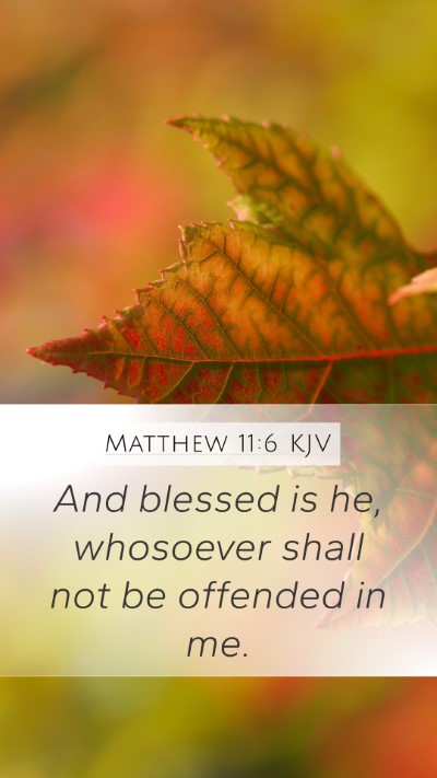 Matthew 11:6 Explained