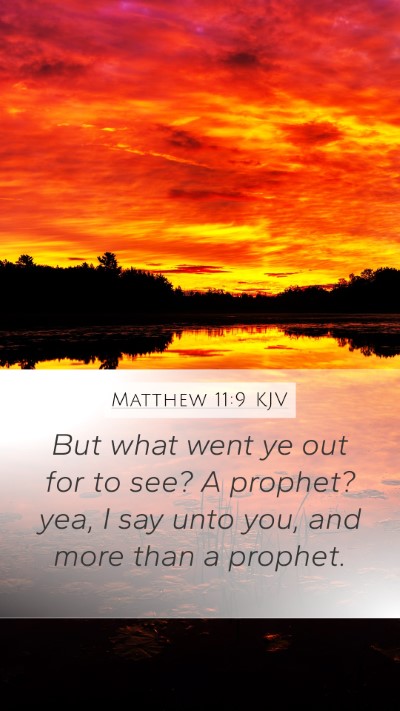 Matthew 11:9 Explained