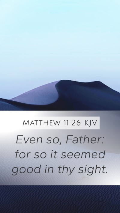 Matthew 11:26 Explained