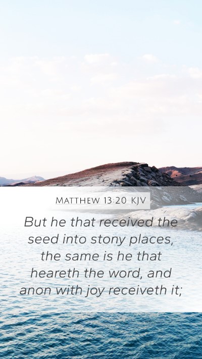 Matthew 13:20 Explained