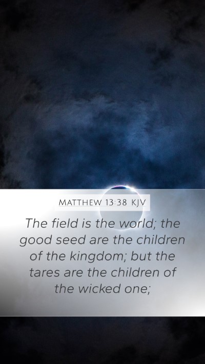 Matthew 13:38 Explained