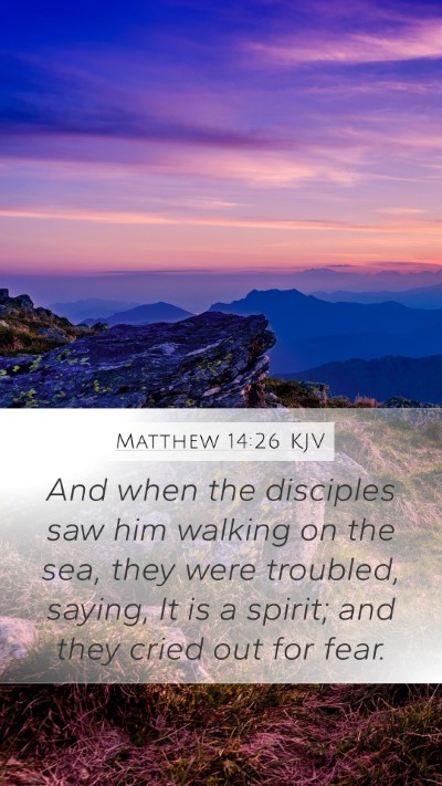 Matthew 14:26 Explained