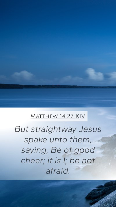 Matthew 14:27 Explained