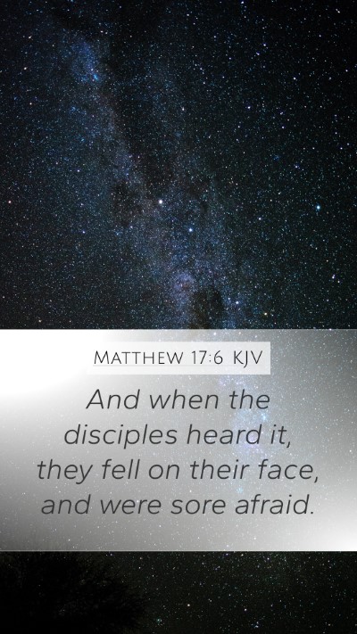 Matthew 17:6 Explained